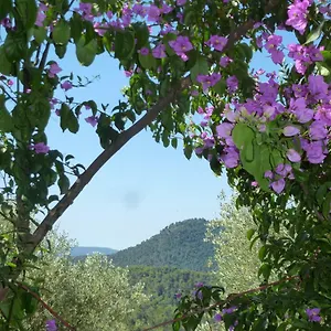 lorigane.fr-provencehotel.com/